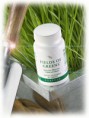 /album/suplementos-nutricionais/fields-of-greens-jpg1/